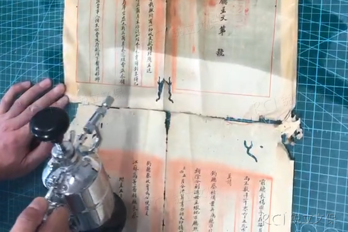 原生性保護與再生性保護 原生性保護與再生性保護