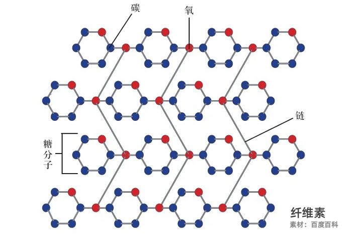 纖維素結構圖 纖維素結構圖