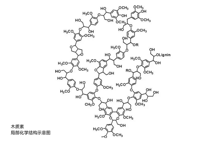 木質素局部化學結構示意圖 木質素局部化學結構示意圖
